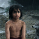 Actor Neel Sethi is Mowgli, who was usually on set alone.
